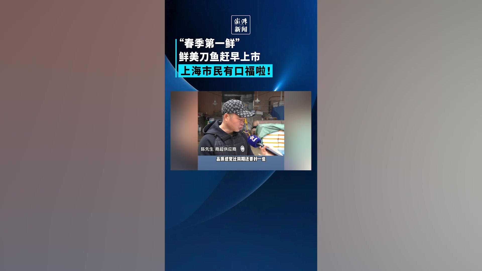 鲜美刀鱼在上海赶早上市,价格也降啦!