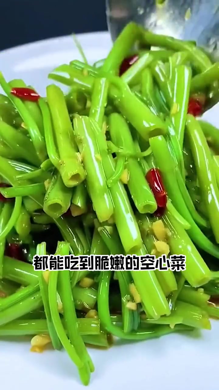 它不是普通的空心菜,它是三个叉的空心菜,种植简单 蔬菜种子 空心菜种子 三叉空心菜种子 家