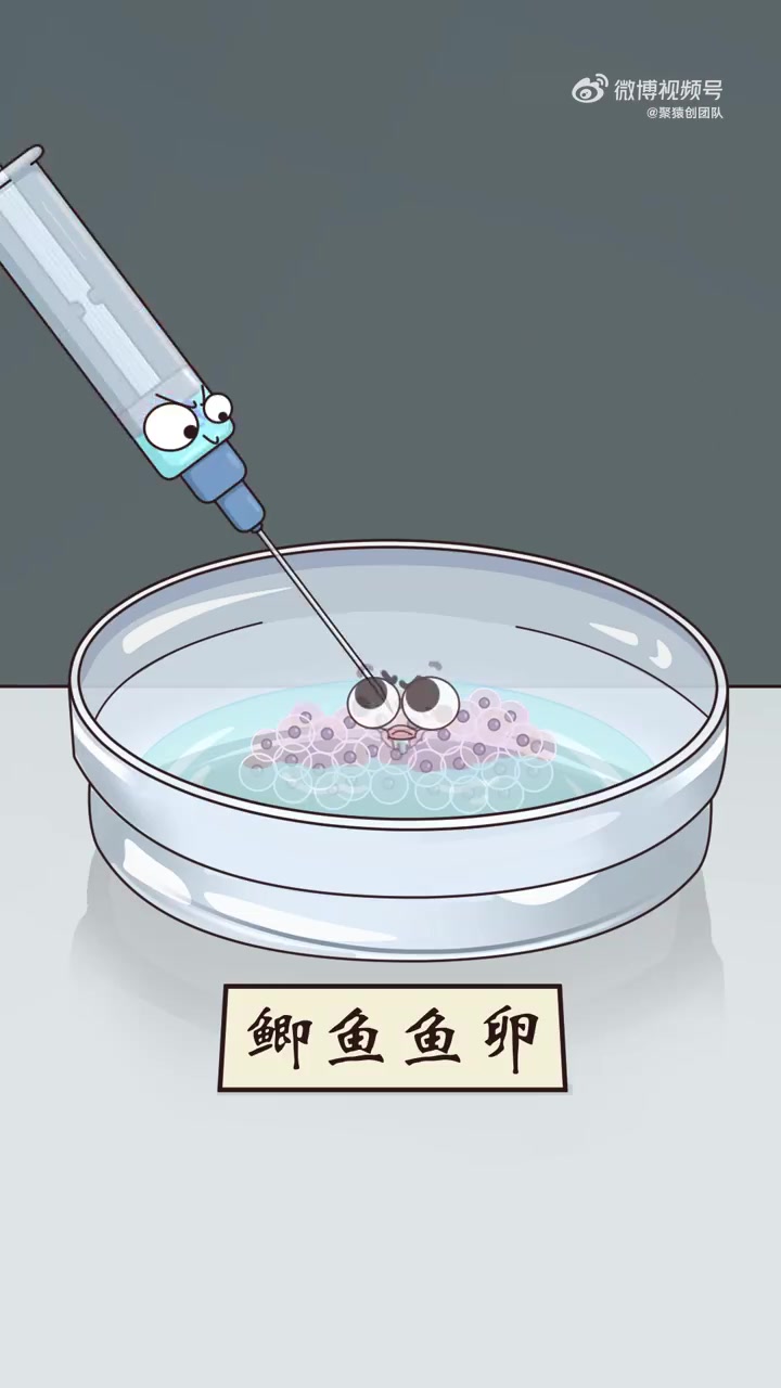 想吃这种无刺的鲫鱼不?2023你最期待的动漫 23年炫的第一部动漫