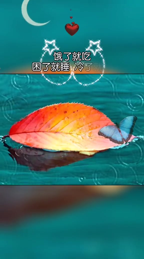 困了睡觉了 晚安说说心情短语
