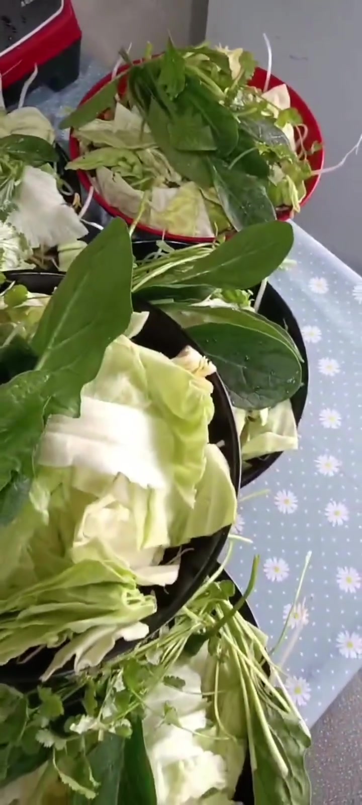 #想告别打工改变身份学门技术的看过来吧]#团结小区机械厂宿舍大门口第一家经营两年的麻辣烫2