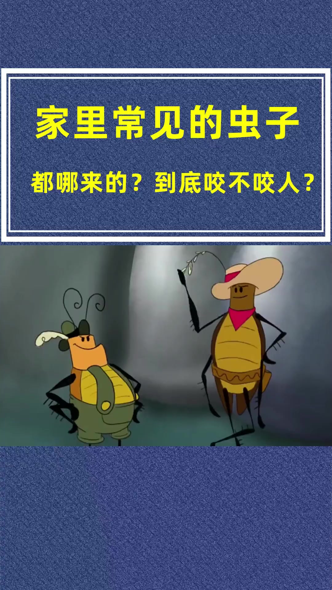 帮你解开多年疑惑,章鱼、乌贼、鱿鱼、墨鱼到底有啥区别,怎么区