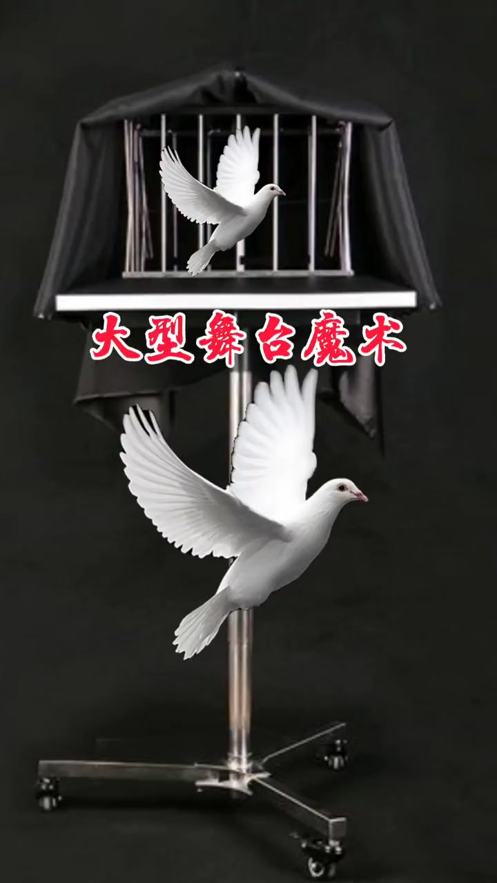变鸽子魔术揭秘视频