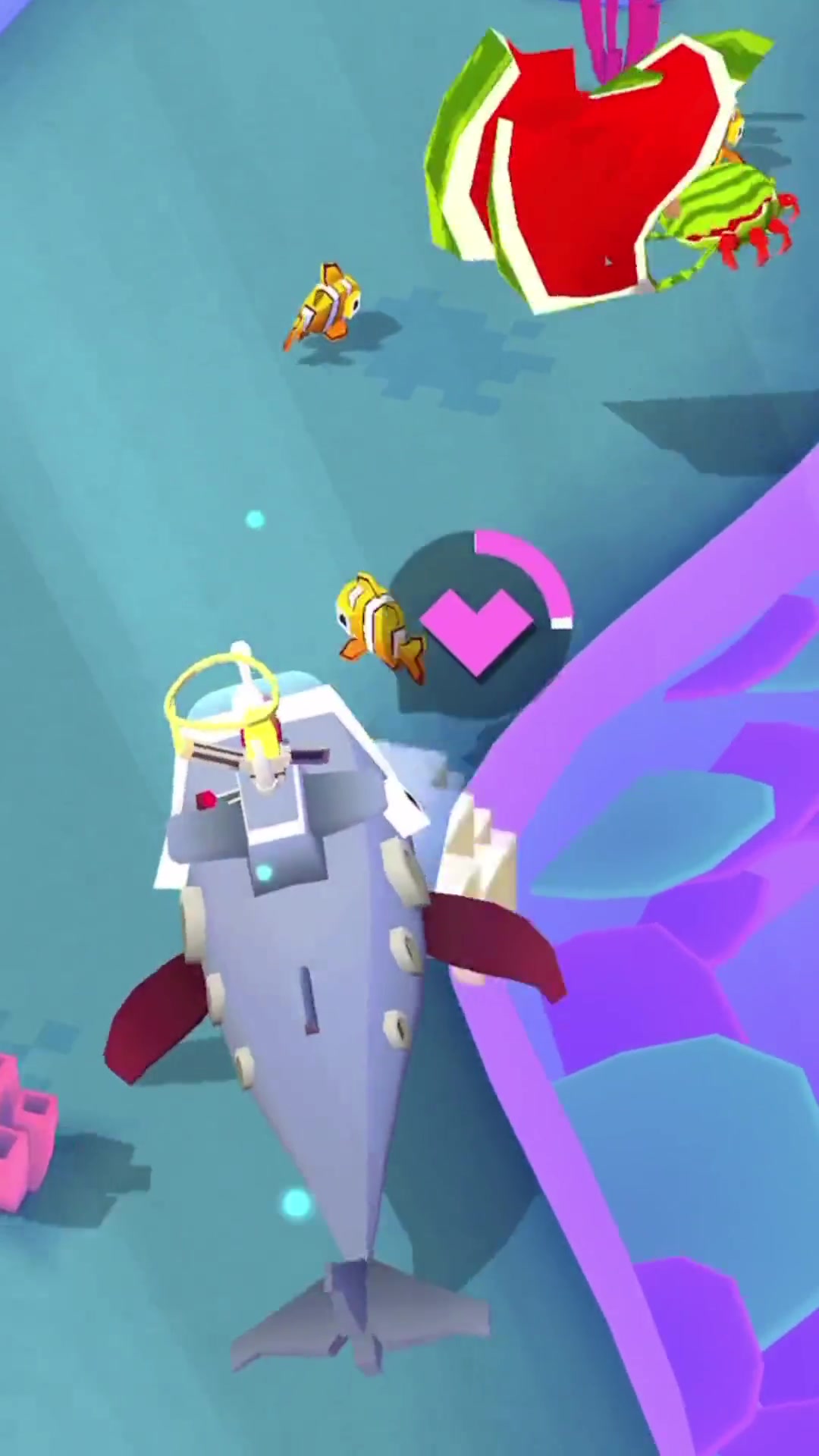 疯狂动物园鲸鱼