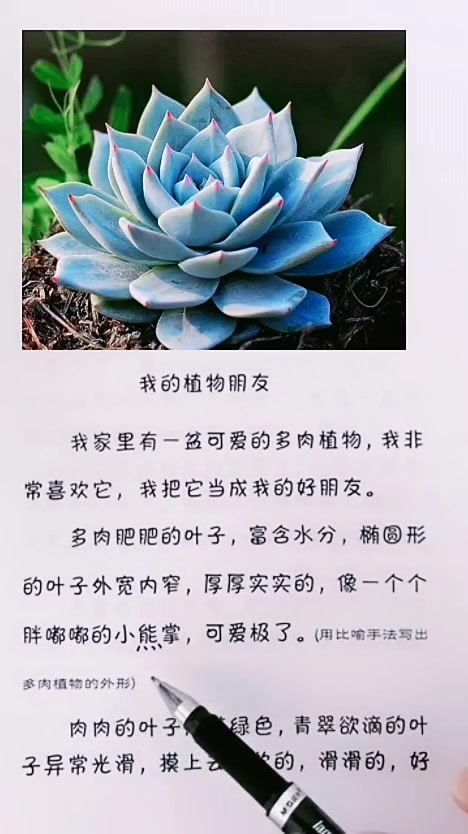 《我的植物朋友》优质范文!