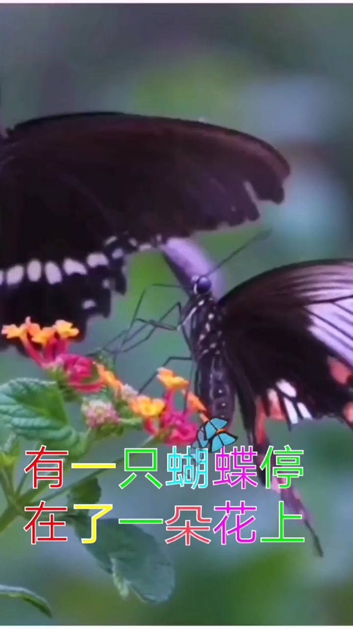第150集|动作描写不要忘记加上修饰词,会使你笔下的人物栩栩如生!