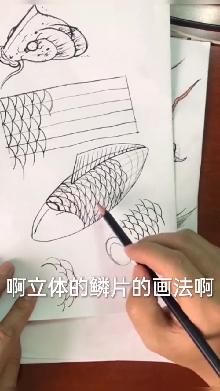教您画平面鱼鳞1,还有一种更适合零基础的朋友学的,有想学的朋友吗?