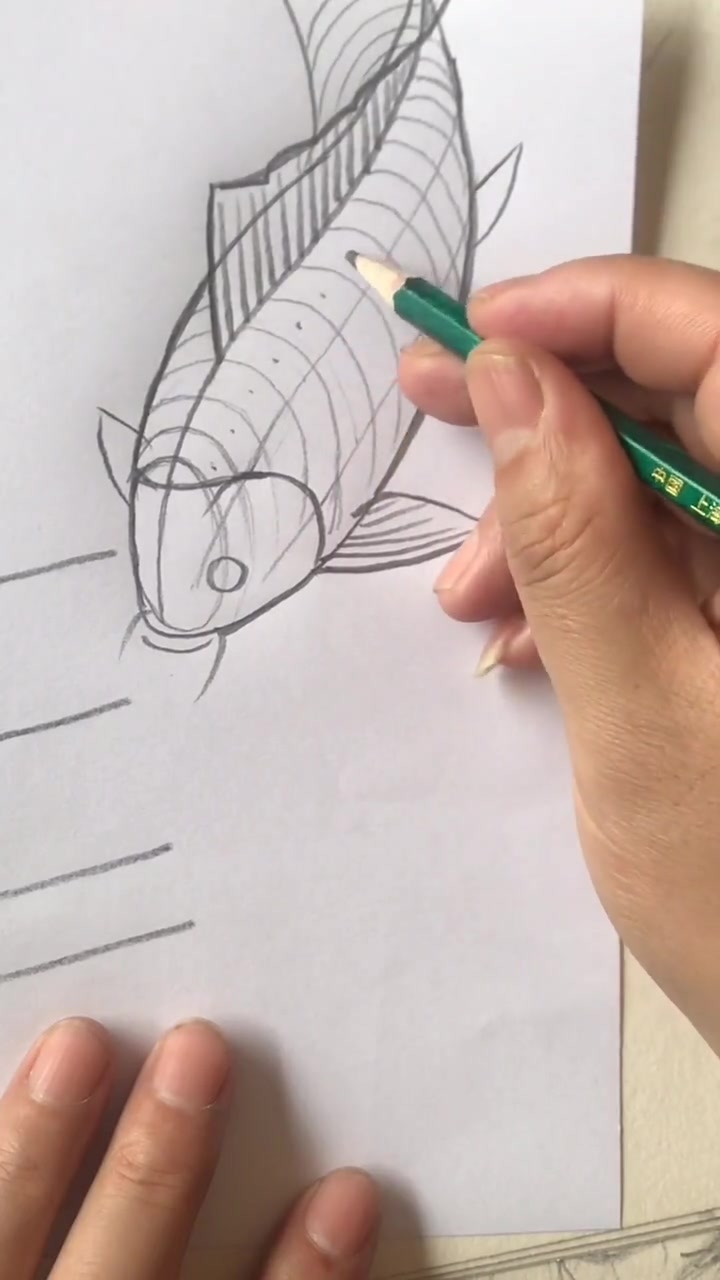 教您画立体鱼鳞1,我平时画鱼鳞不用辅助线,现在画的有点生了,大家能学到就好