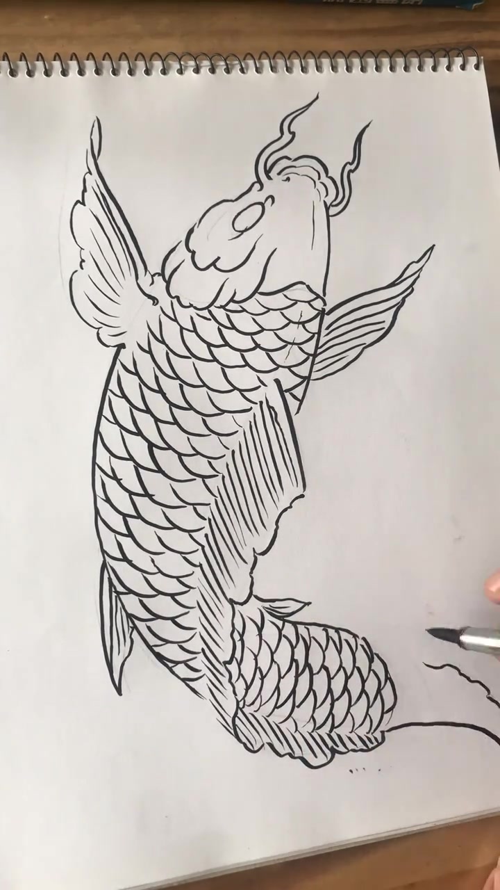 教您画一条大鲤鱼,喜欢的朋友欢迎交流,感谢官方!