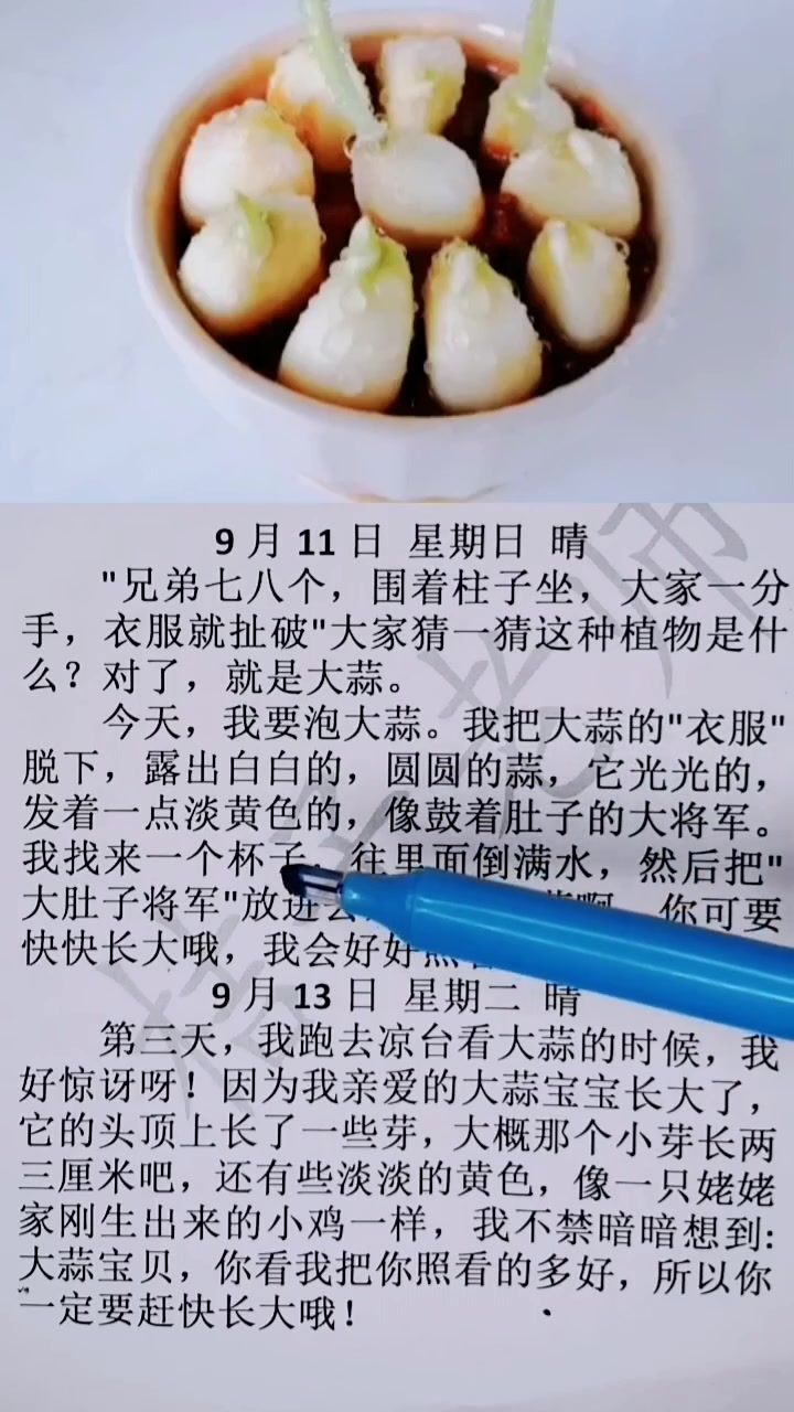 观察日记