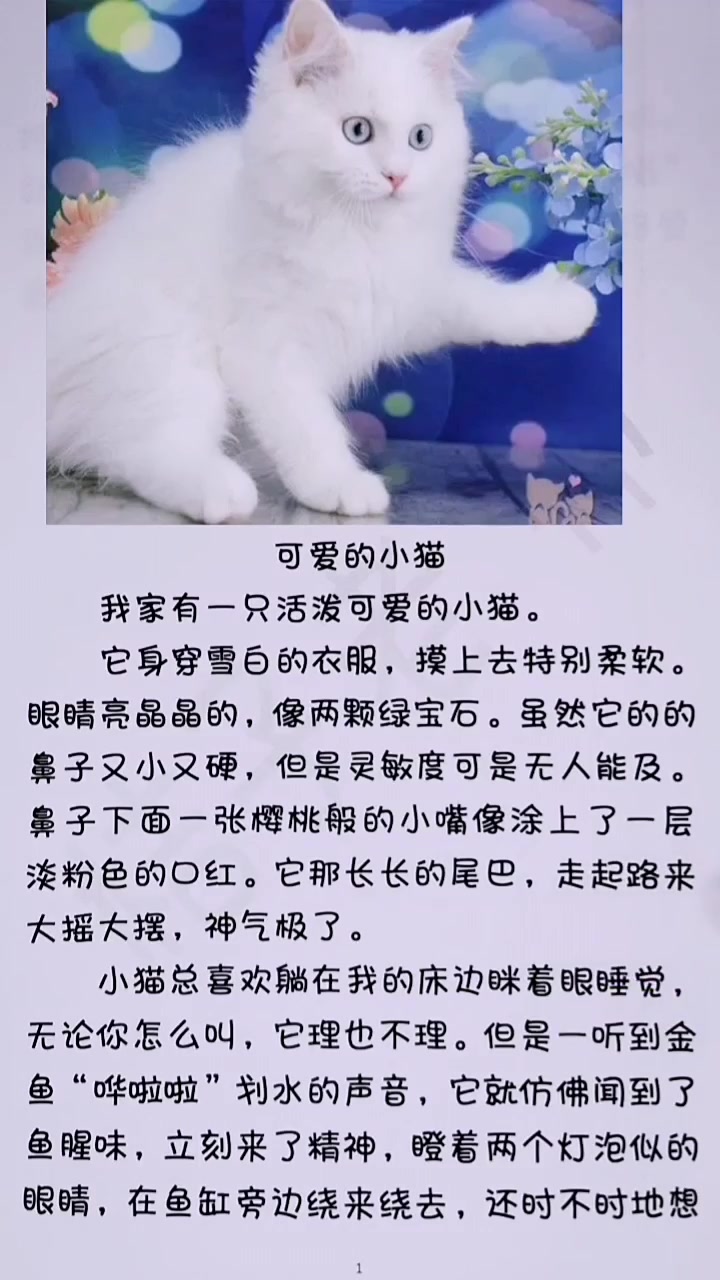 看图写话《我家的小猫》