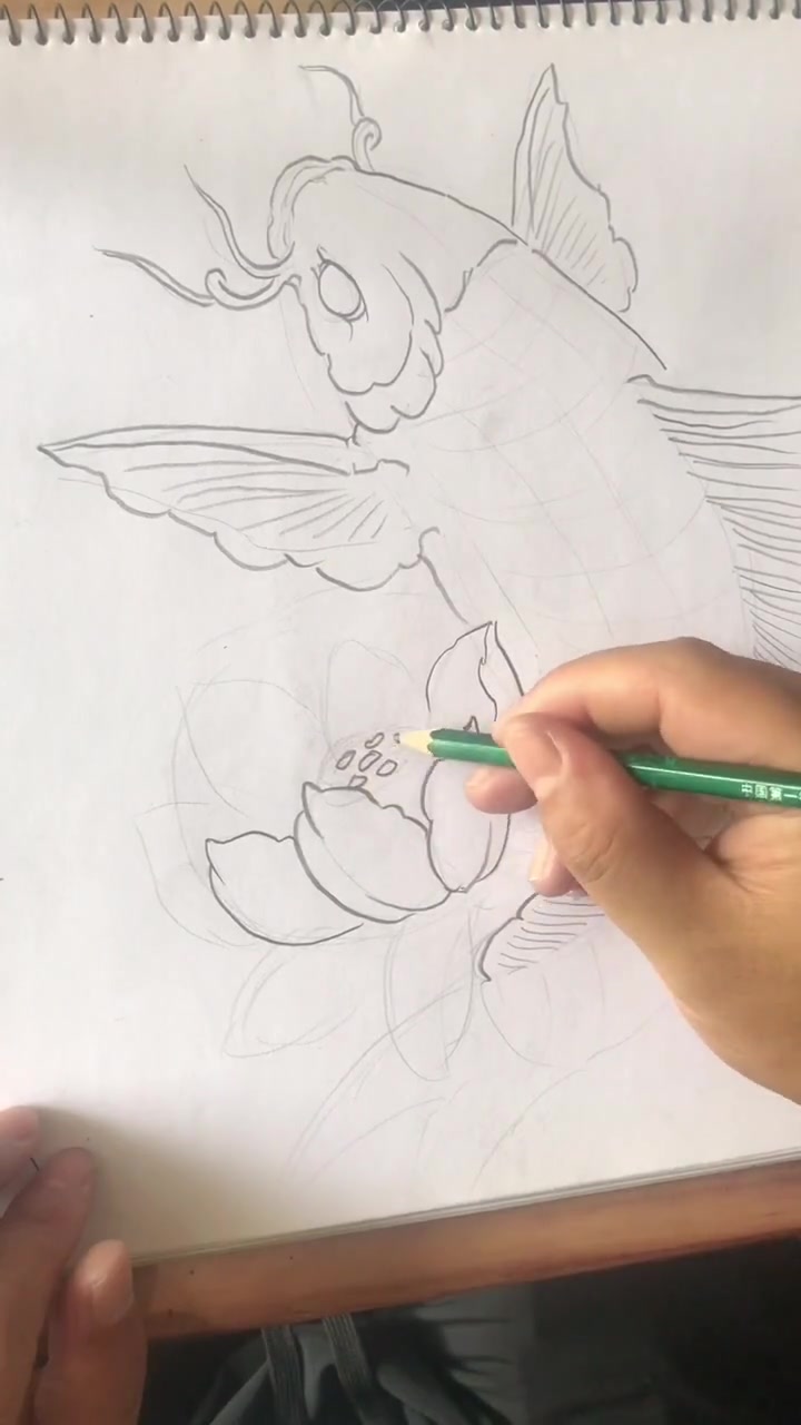 教您画莲花鲤鱼线条完整版,还没有扩线,喜欢画画的朋友们欢迎交流学习,感谢官方支持!