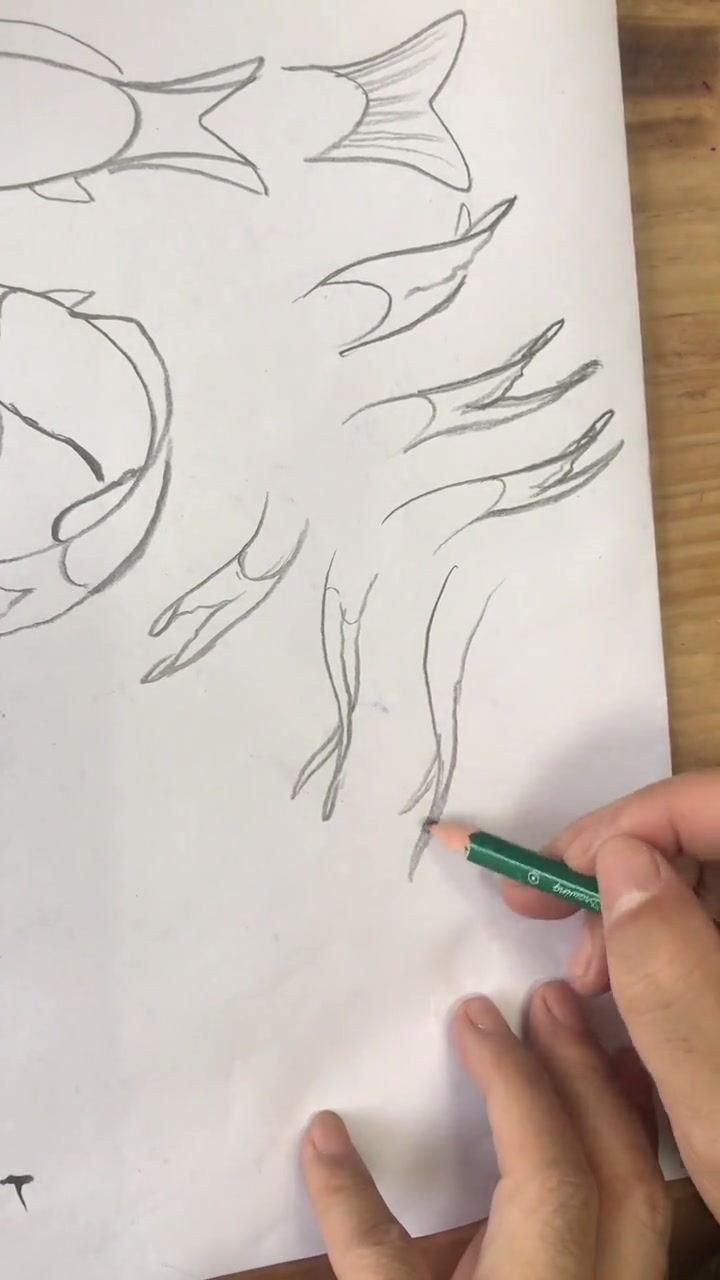 教您画鱼尾巴,很多朋友想看鱼尾巴怎么画,希望能帮助大家