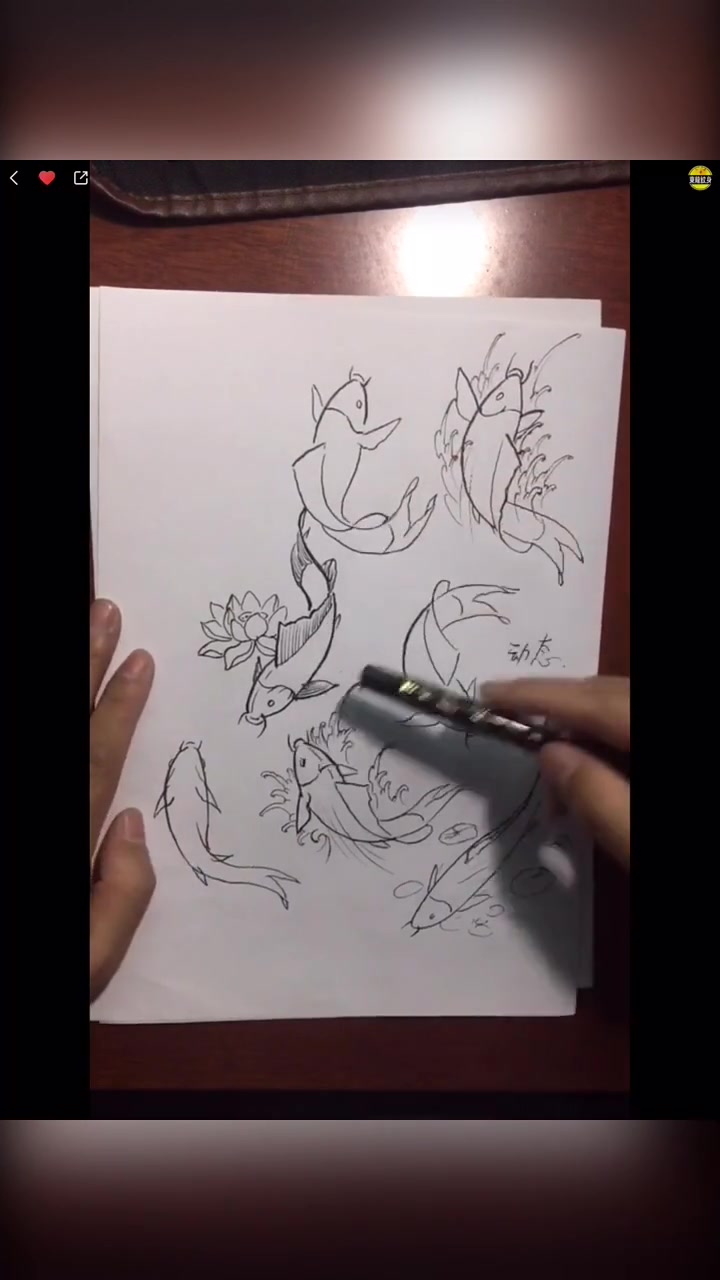 教您画鲤鱼动态1,欢迎朋友们交流,感谢官方!