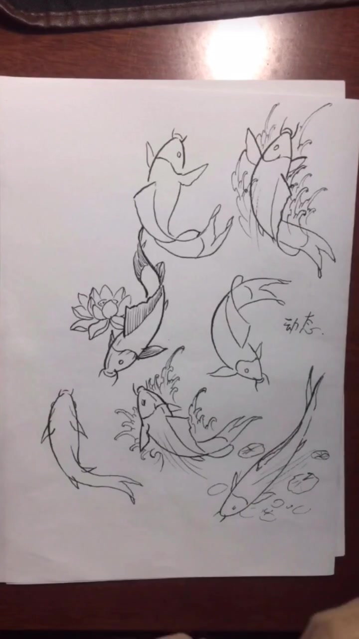 教给您画鲤鱼的动态,欢迎朋友们来交流进学习,共同进步,谢谢大家谢谢官方!