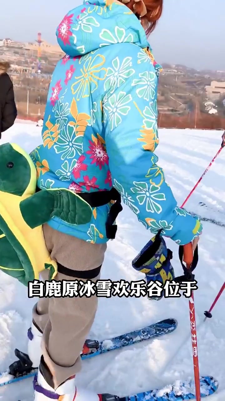 第7集|中国美丽乡村休闲旅游行——陕西省(西安市)蓝田县 冬季休闲体验游 旅游攻略 陕西旅