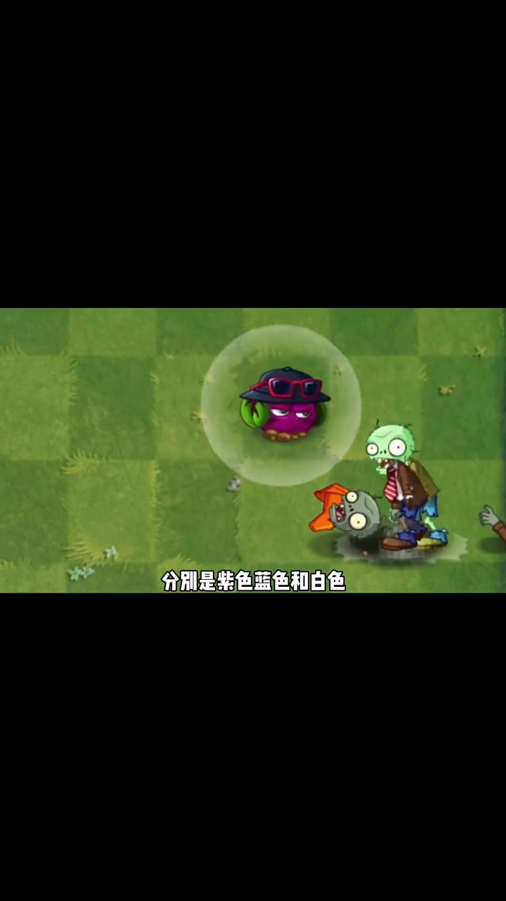 第53集|蓝卡:魔音甜菜,到底好不好用?