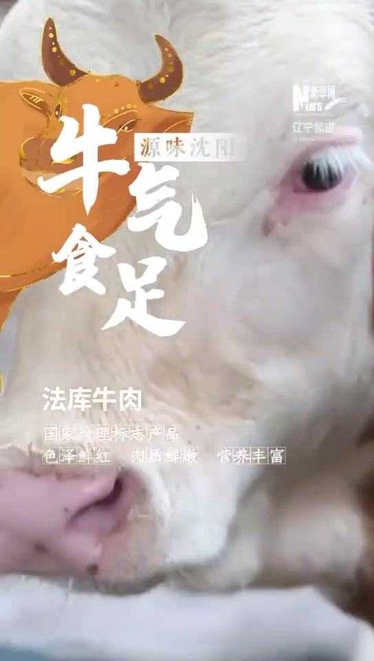 央媒看沈阳「源味沈阳丨法库牛肉 “牛”气“食”足」沈阳地处辽河平原的中心地带,这里自然环境