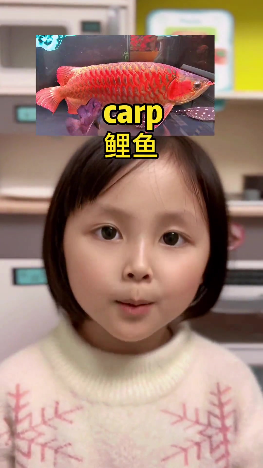 泥鳅,黄鳝英语怎么说?英语启蒙 双语宝宝 英语牛娃