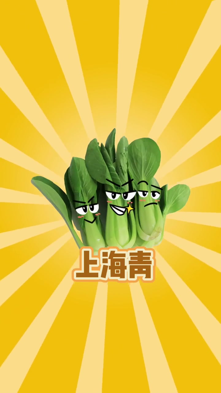 广东人所说的青菜是什么菜