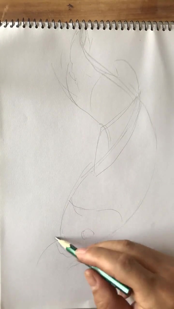 教您画一条大鲤鱼,喜欢画画的朋友欢迎双[gf]1f414[/gf][gf]2795[/gf