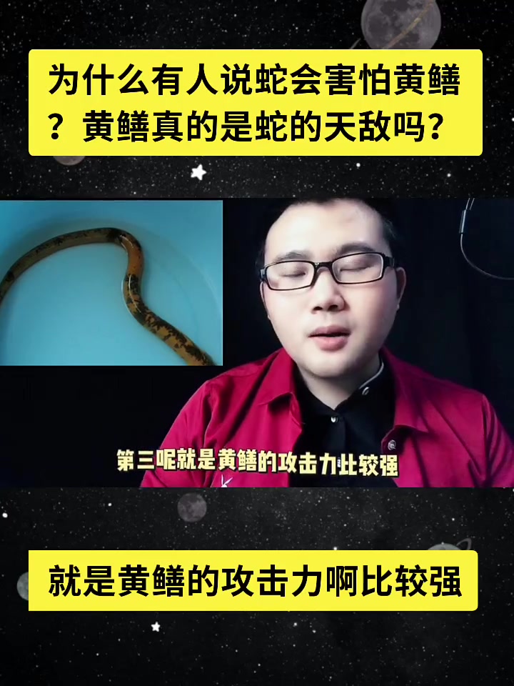 为什么有人说蛇会害怕黄鳝?黄鳝真的是蛇的天敌吗?