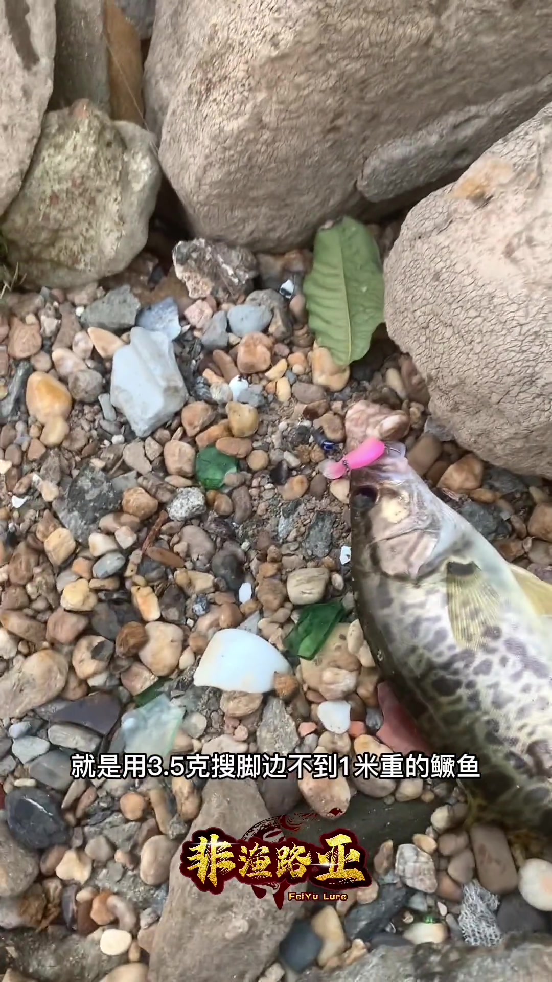 第12集|路亚鳜鱼怎么找标点?手把手教你!分享个人实战经验,路亚野钓鳜鱼,推荐使用软饵铅坠