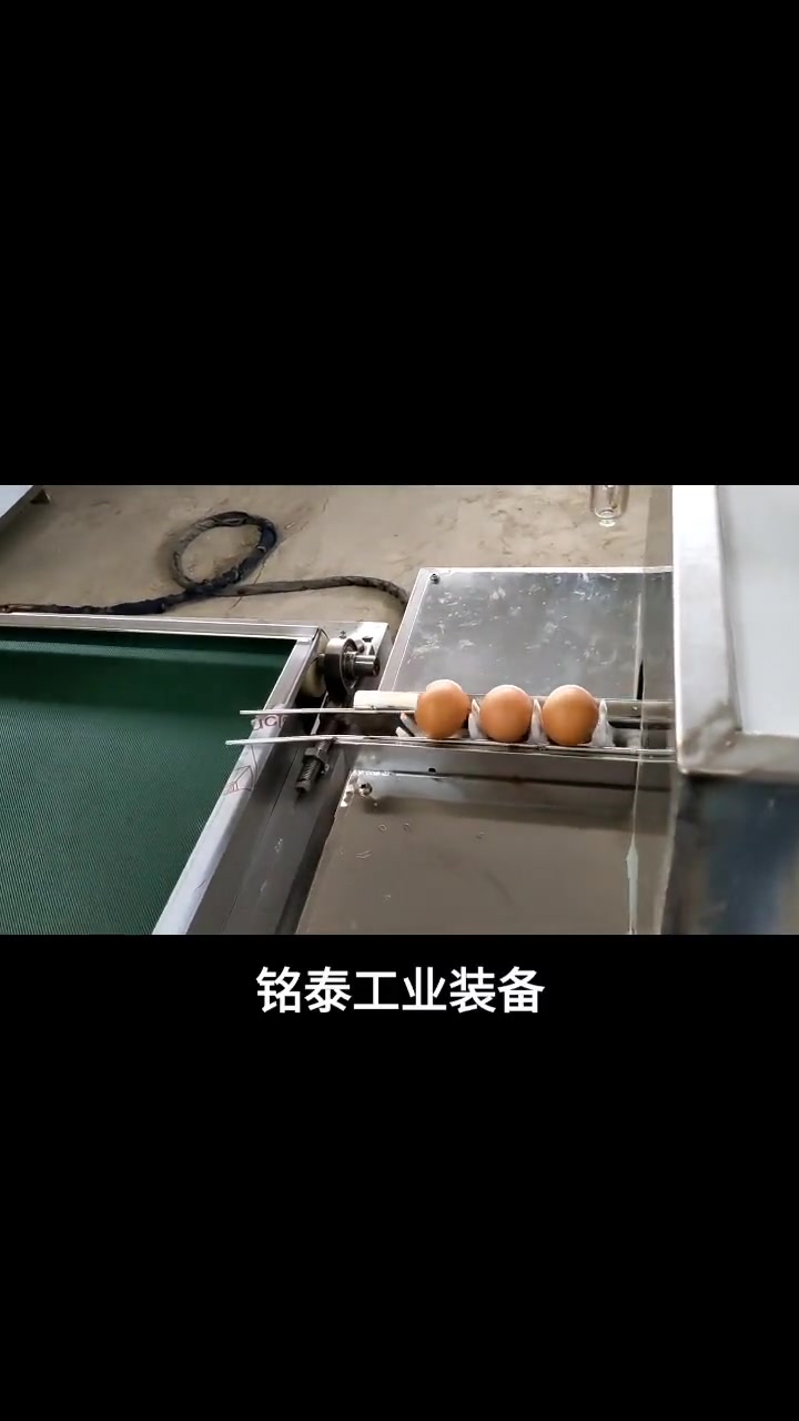 把鸡蛋放入水池里,经过传送的方式进入清洗机里
