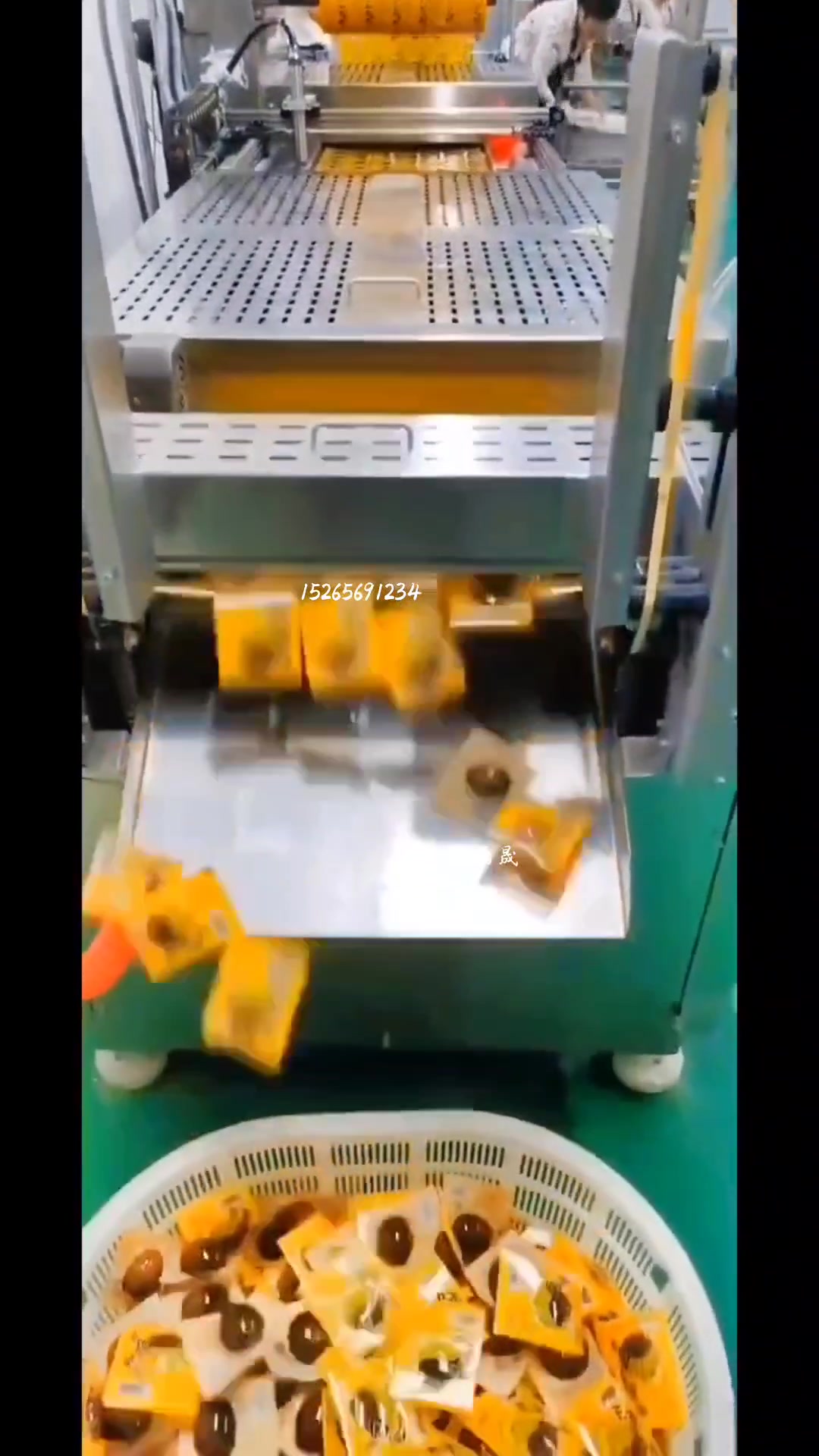 休闲卤蛋盐焗鸡蛋乡巴佬蛋独立真空包装机,流水线生产真装空卤蛋