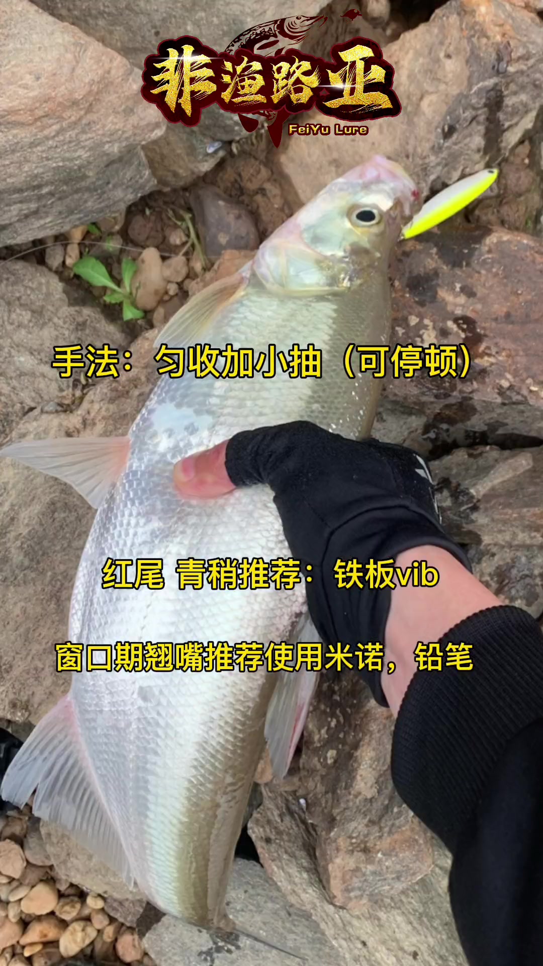 海钓路亚假饵怎么选择钓位