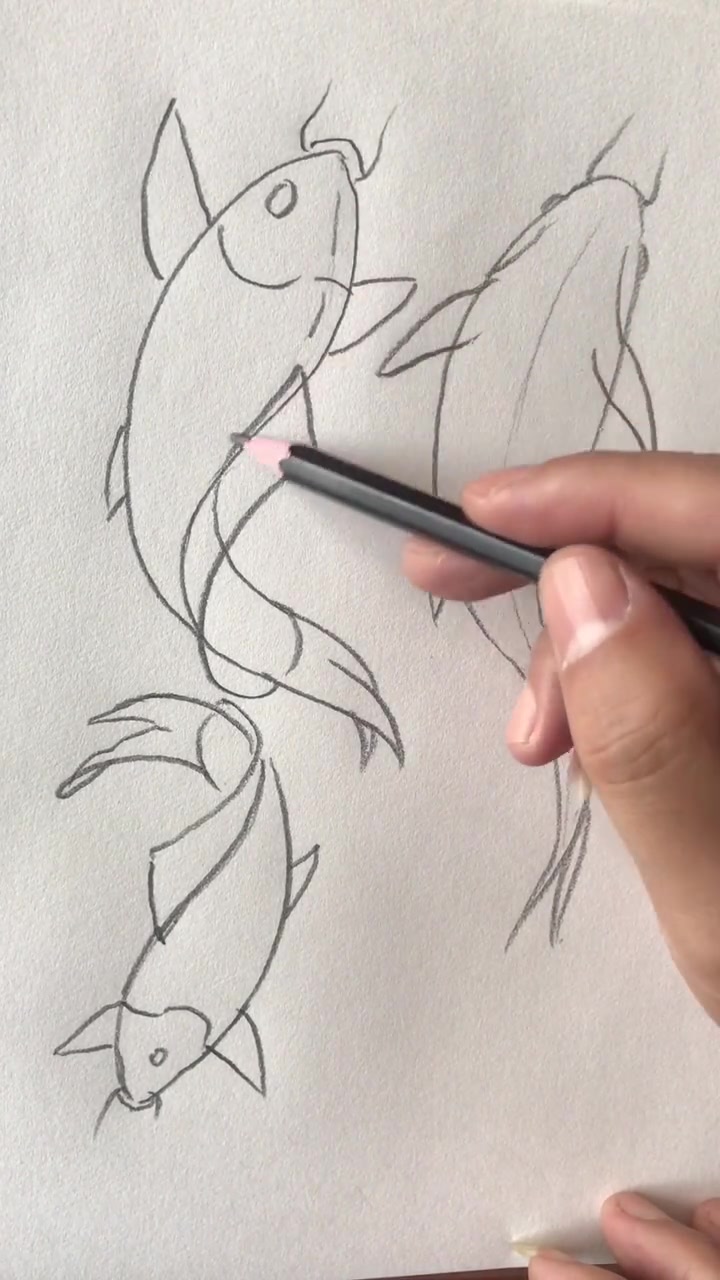 教您画鲤鱼的动态,每条鱼的动态都有相似之处,欢迎朋友们交流