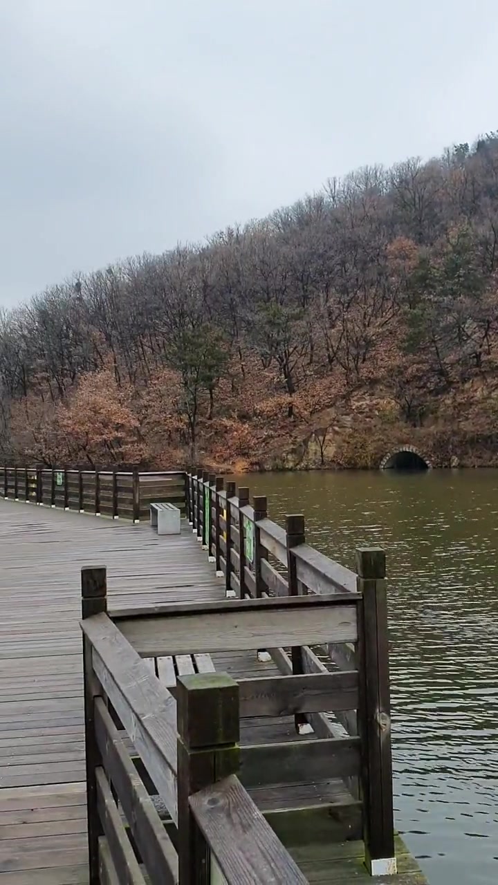 白云雁水的野鸭子非常有名,成为市民和游客的好朋友。有一年冬天突然降温,许多野鸭被冻在冰中,