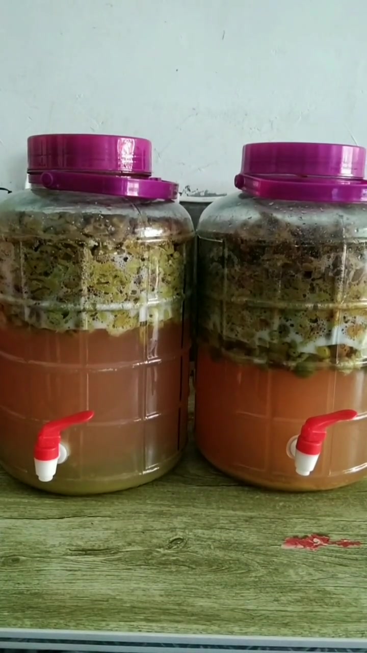 葡萄酒制作教程:配方在视频后面