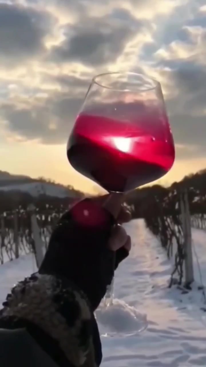 通化野生山葡萄酒 葡萄酒