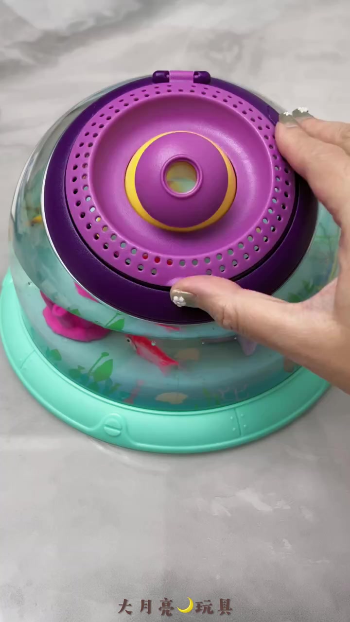 一开始养小鱼啦