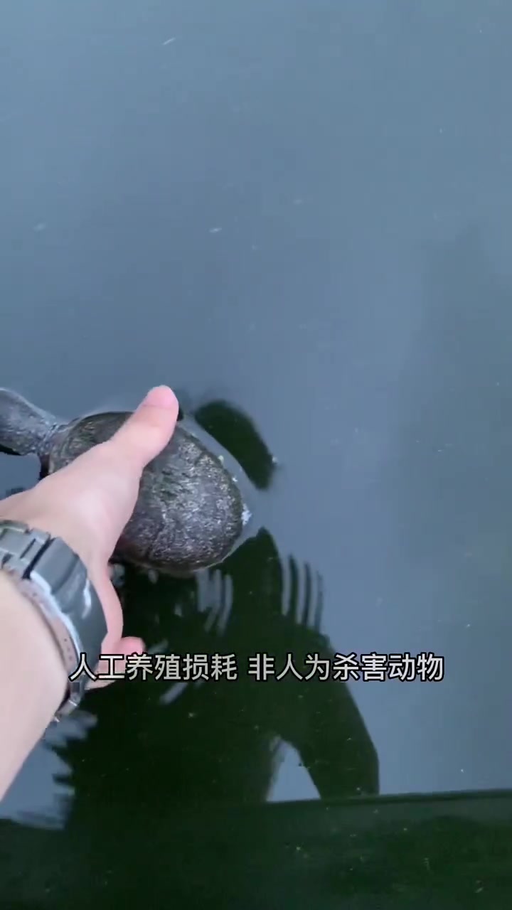 这一觉睡的 起不来了啦