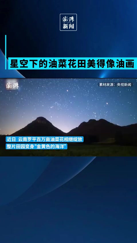 星空下的油菜花田美得像油画