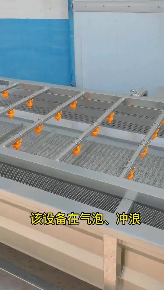 果蔬气泡清洗机   水果蔬菜清洗设备