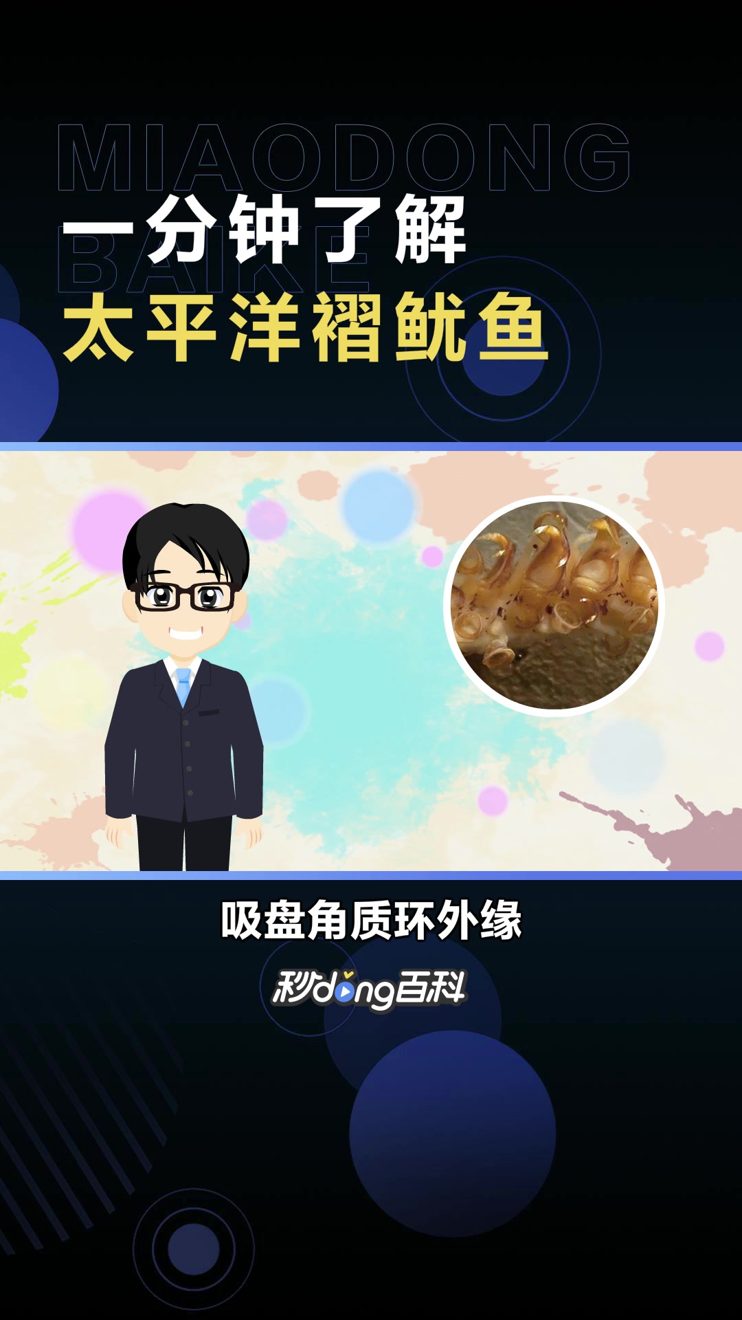 太平洋褶鱿鱼:柔鱼科鱼类