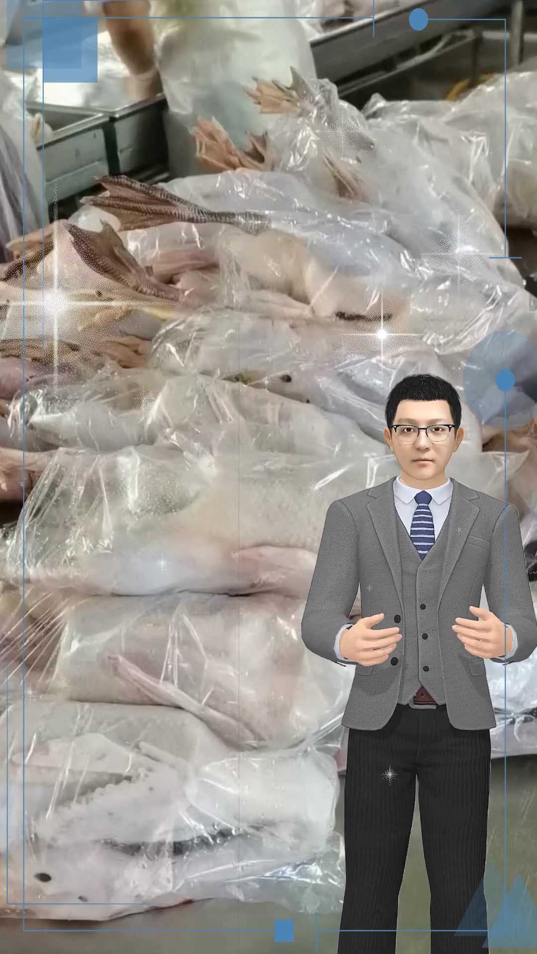 白条仔鹅、老鹅