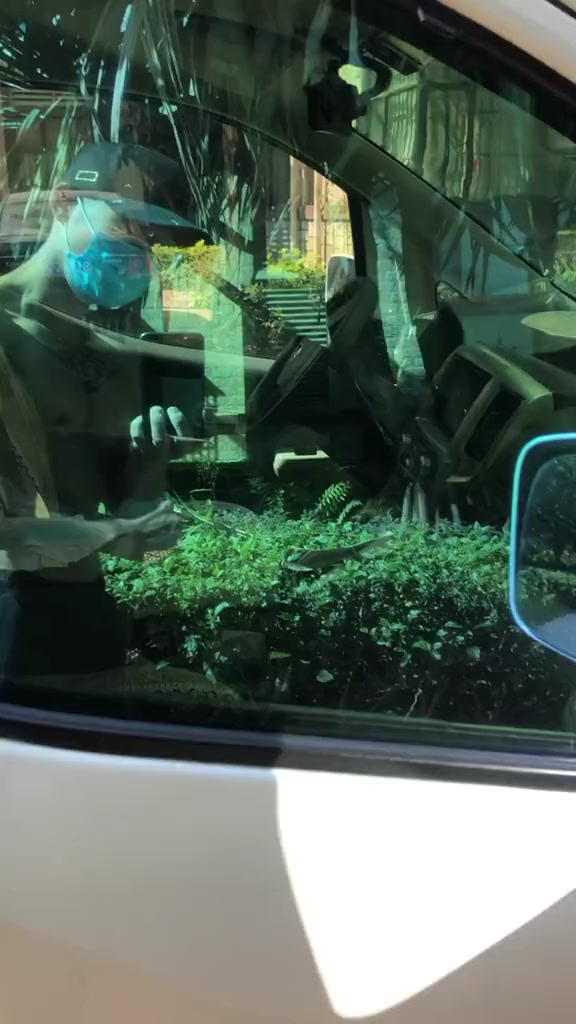 这个麒麟臂竟然不到40CM,太细了!招财进宝拜大年 2020爆红爆好运 健身