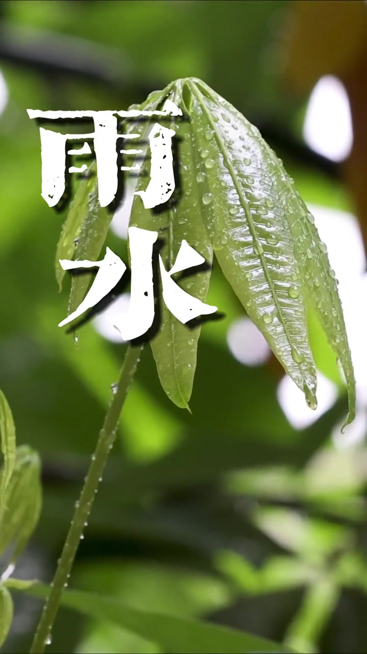 第4集|雨水,一年中第二个节气。在雨水时节,养肝明目、预防感冒、提高免疫力尤为重要。《好好