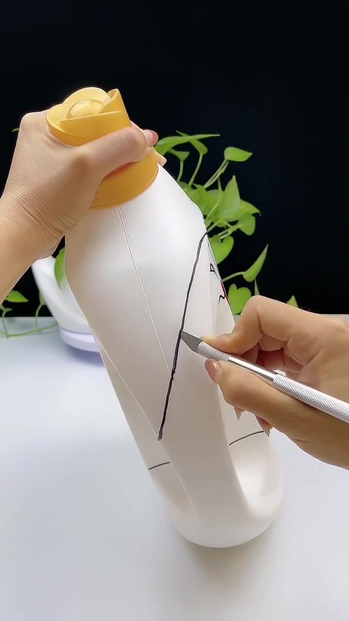 捡来的洗衣液瓶子做花盆,美出新高度!怎么看都看不够……