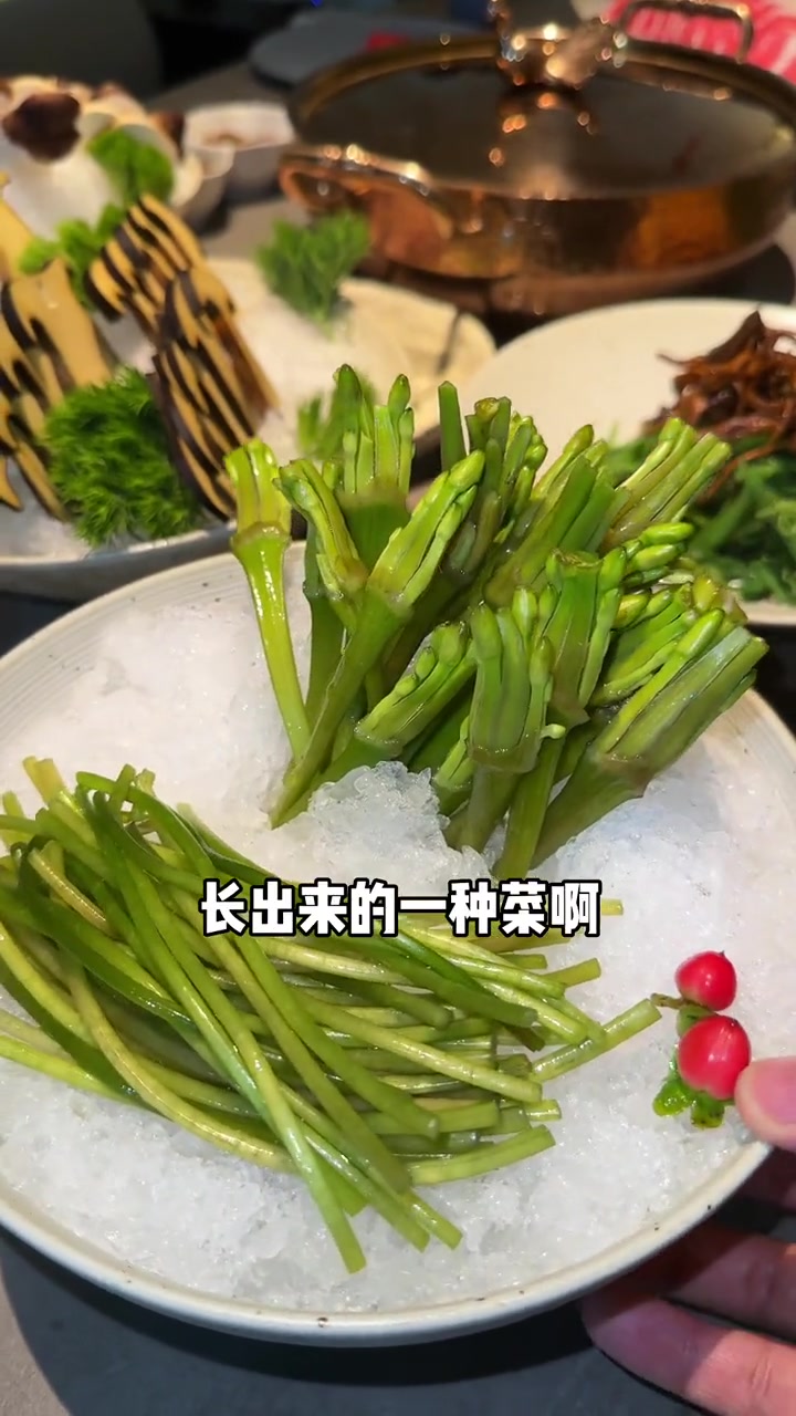 太原这家店光装修就一年,特别风雅有格调又养生的一家餐厅