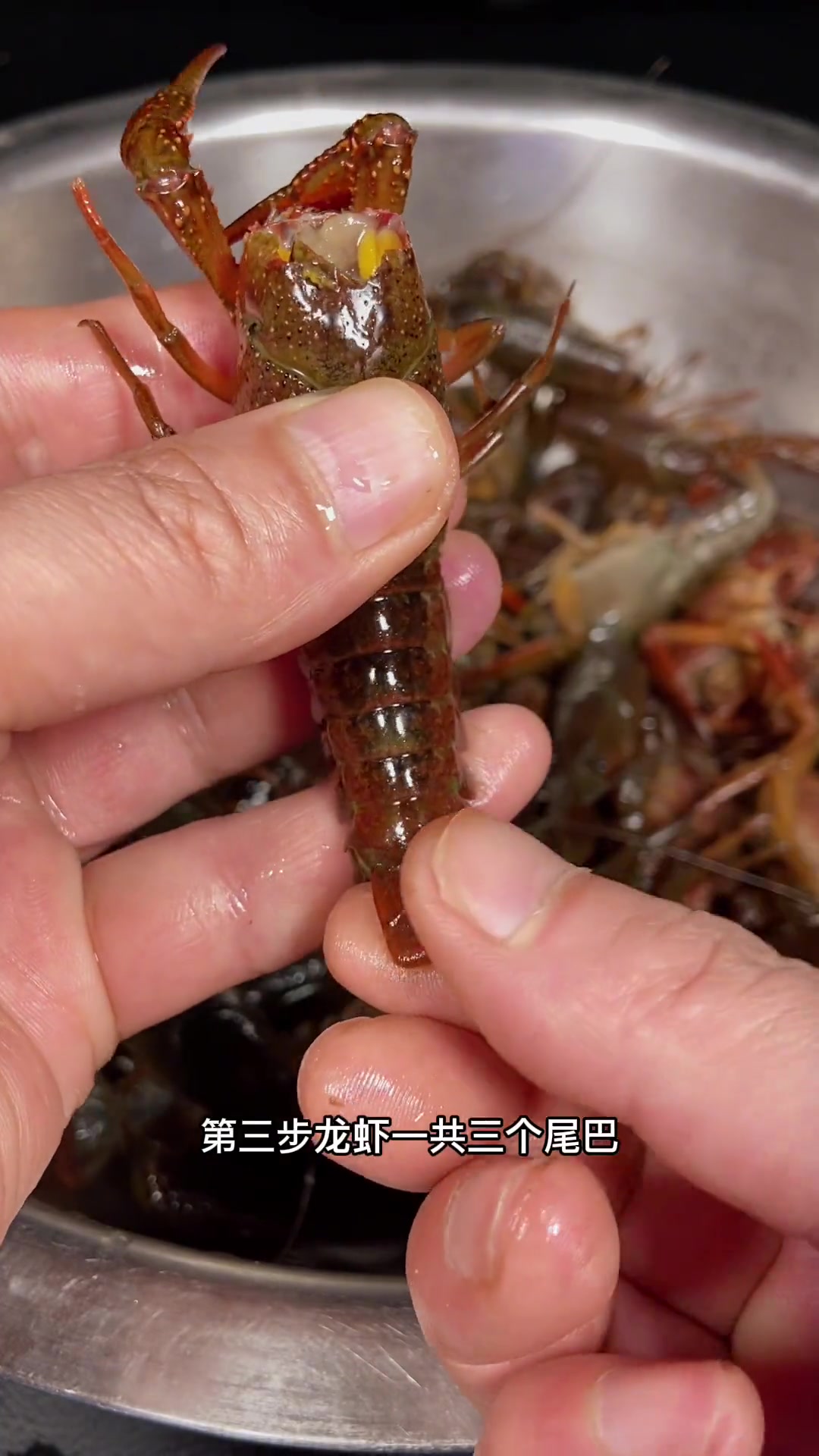 杀龙虾视频教程