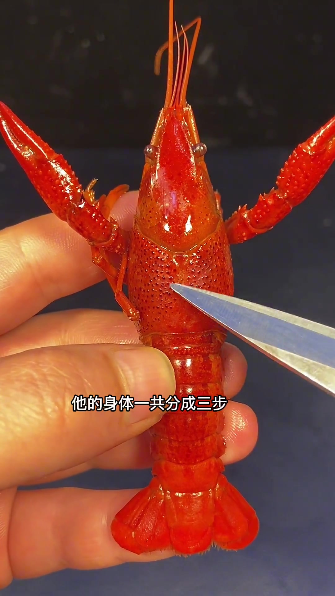 小龙虾的正确吃法
