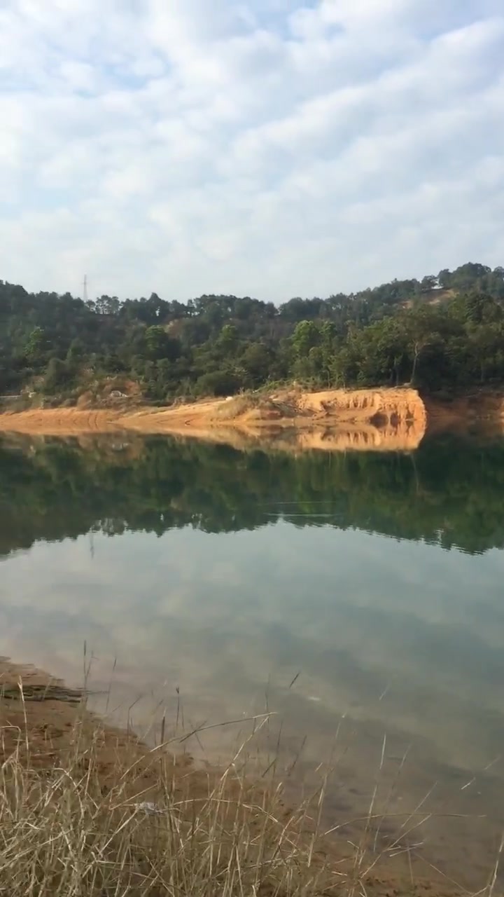 人间仙界,偶遇小水鸭!