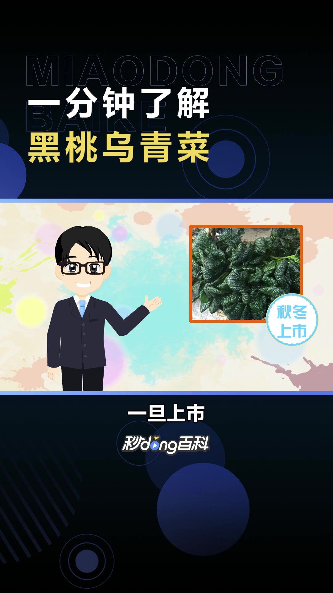 黑桃乌青菜:秋冬季蔬菜