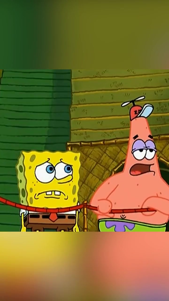 海绵宝宝中派大星是什么动物