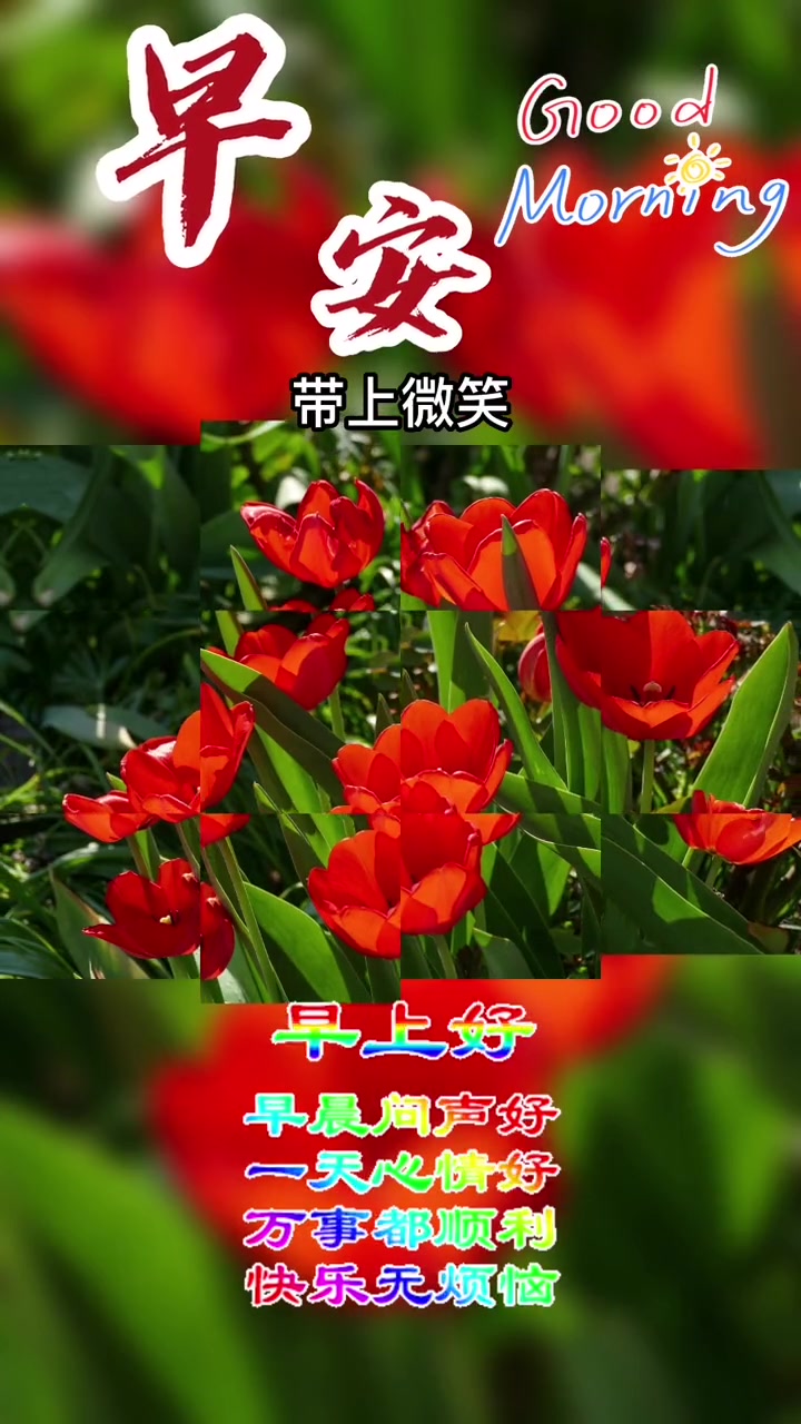 今天是2月20日,农历二月初一,早上好呀,又是美好一周开始了,只有开心,才能快乐,只有平安